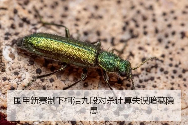 围甲新赛制下柯洁九段对杀计算失误暗藏隐患