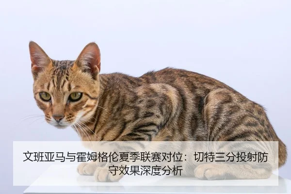 文班亚马与霍姆格伦夏季联赛对位：切特三分投射防守效果深度分析