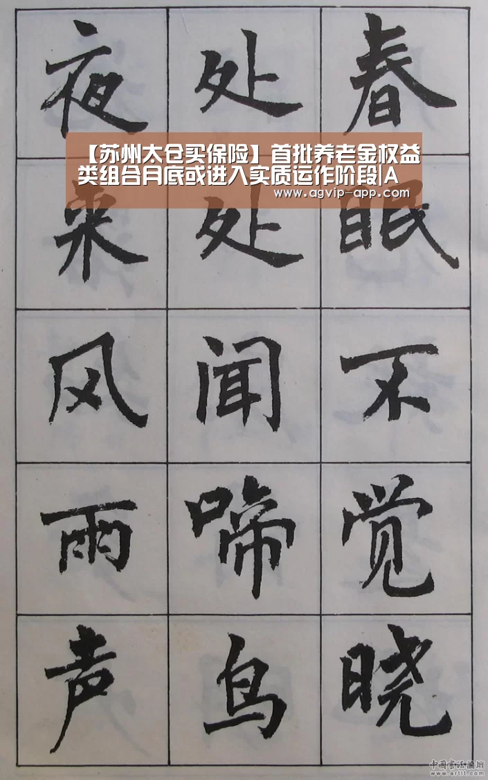 【苏州太仓买保险】首批养老金权益类组合月底或进入实质运作阶段